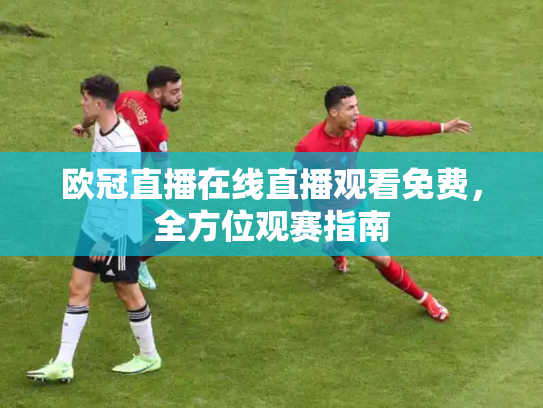欧冠直播在线直播观看免费，全方位观赛指南