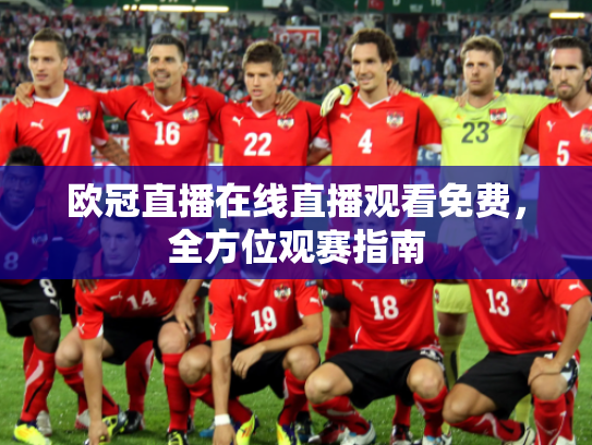 欧冠直播在线直播观看免费，全方位观赛指南