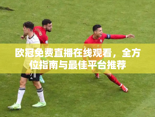 欧冠免费直播在线观看，全方位指南与最佳平台推荐