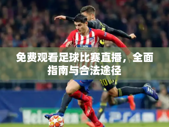 免费观看足球比赛直播，全面指南与合法途径