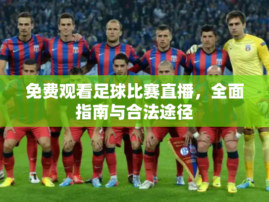 免费观看足球比赛直播，全面指南与合法途径