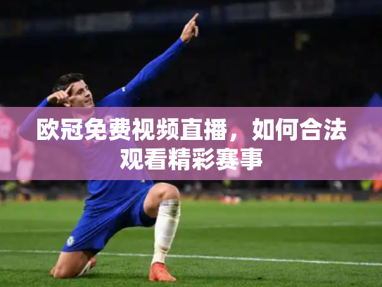 欧冠免费视频直播，如何合法观看精彩赛事