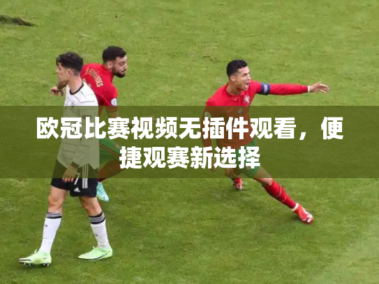 欧冠比赛视频无插件观看，便捷观赛新选择