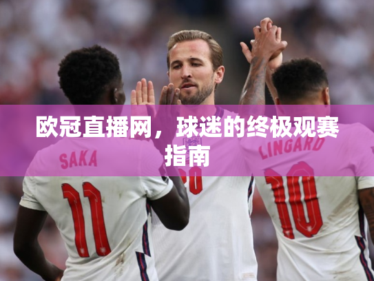 欧冠直播网，球迷的终极观赛指南
