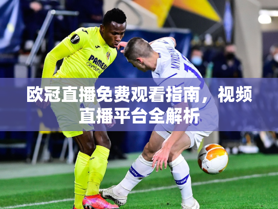 欧冠直播免费观看指南，视频直播平台全解析