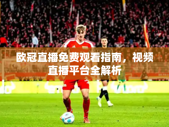 欧冠直播免费观看指南，视频直播平台全解析