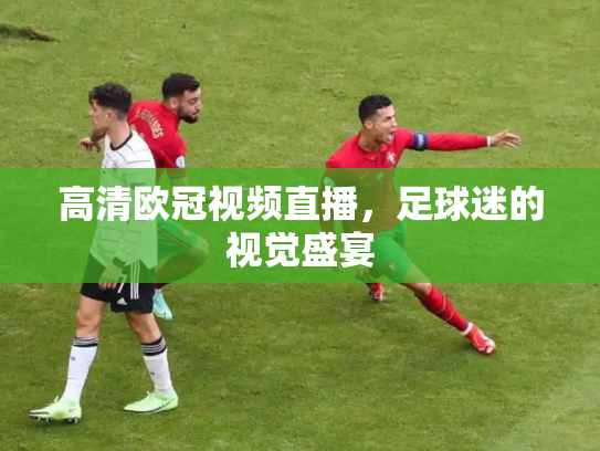 高清欧冠视频直播，足球迷的视觉盛宴
