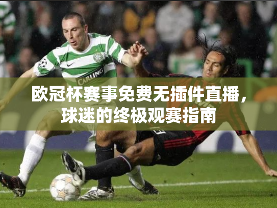 欧冠杯赛事免费无插件直播，球迷的终极观赛指南