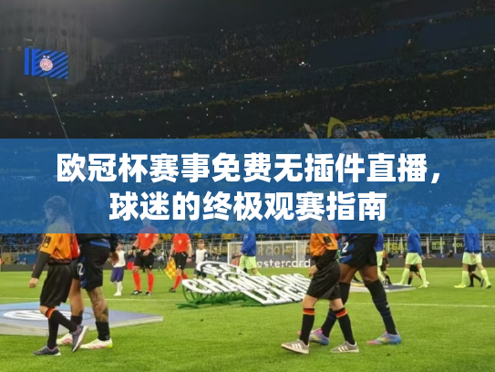 欧冠杯赛事免费无插件直播，球迷的终极观赛指南