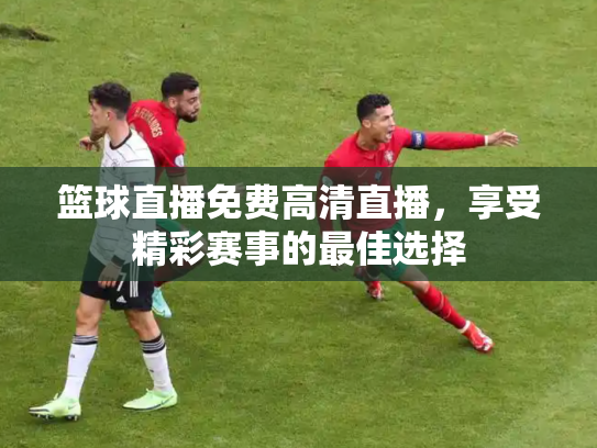 篮球直播免费高清直播，享受精彩赛事的最佳选择