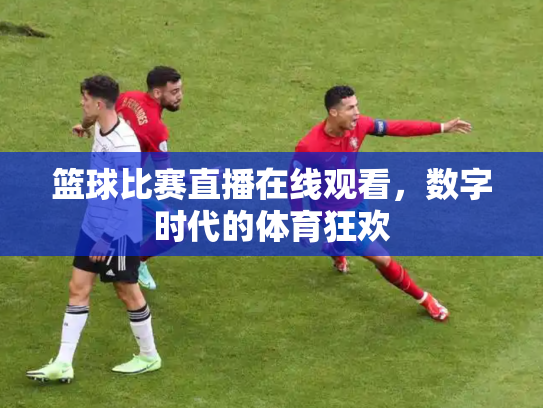 篮球比赛直播在线观看，数字时代的体育狂欢