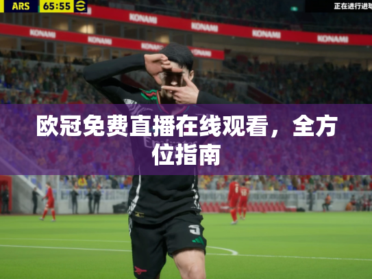 欧冠免费直播在线观看，全方位指南