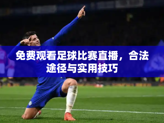 免费观看足球比赛直播，合法途径与实用技巧