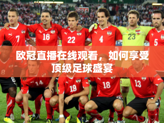 欧冠直播在线观看，如何享受顶级足球盛宴