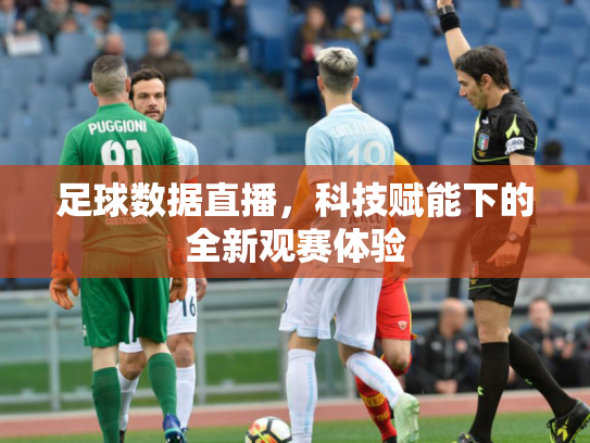 足球数据直播，科技赋能下的全新观赛体验