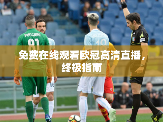 免费在线观看欧冠高清直播，终极指南