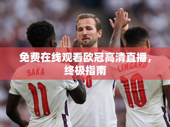 免费在线观看欧冠高清直播，终极指南