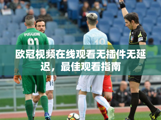欧冠视频在线观看无插件无延迟，最佳观看指南