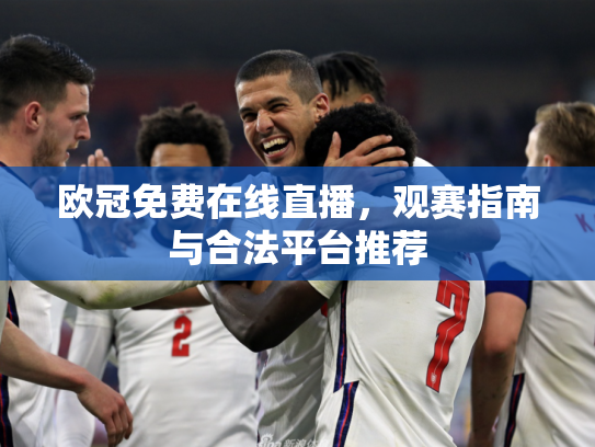 欧冠免费在线直播，观赛指南与合法平台推荐