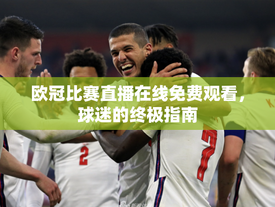 欧冠比赛直播在线免费观看，球迷的终极指南
