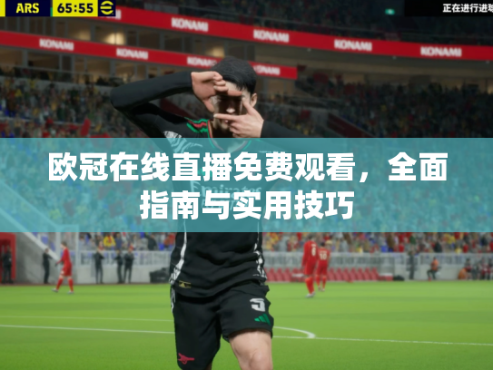 欧冠在线直播免费观看，全面指南与实用技巧