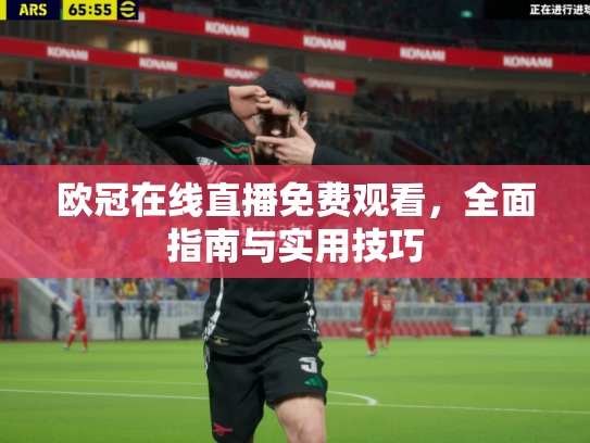 欧冠在线直播免费观看，全面指南与实用技巧