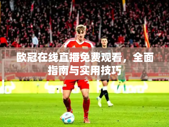 欧冠在线直播免费观看，全面指南与实用技巧