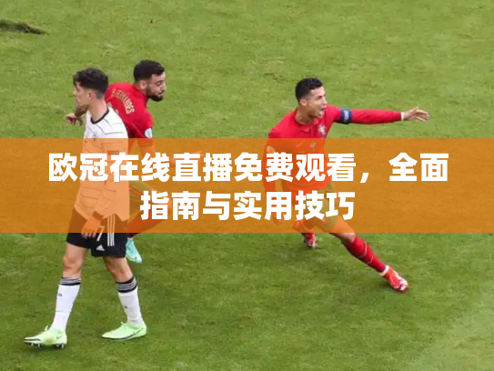 欧冠在线直播免费观看，全面指南与实用技巧