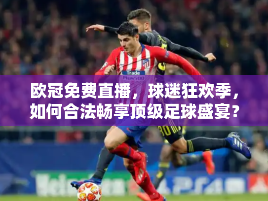 欧冠免费直播，球迷狂欢季，如何合法畅享顶级足球盛宴？