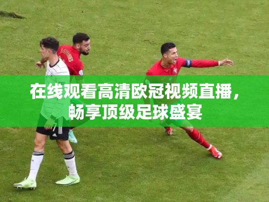 在线观看高清欧冠视频直播，畅享顶级足球盛宴