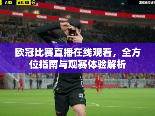 欧冠比赛直播在线观看，全方位指南与观赛体验解析