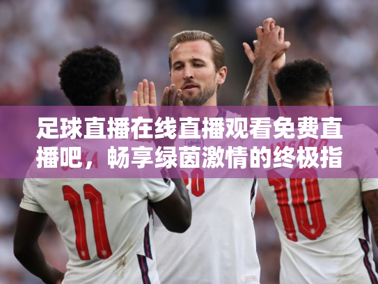 足球直播在线直播观看免费直播吧，畅享绿茵激情的终极指南