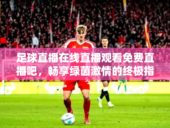足球直播在线直播观看免费直播吧，畅享绿茵激情的终极指南