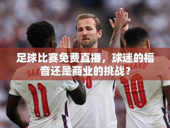 足球比赛免费直播，球迷的福音还是商业的挑战？