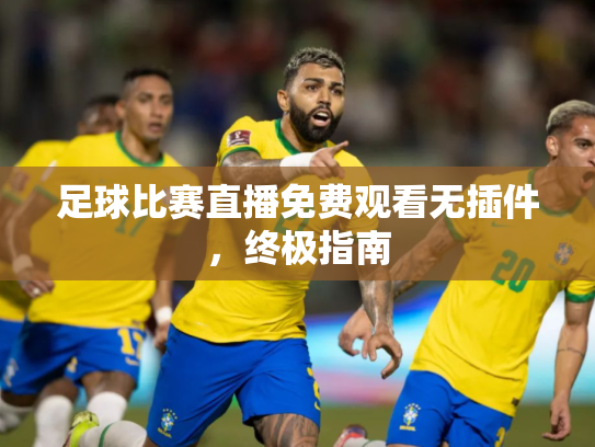 足球比赛直播免费观看无插件，终极指南