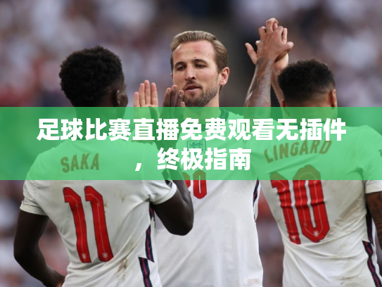 足球比赛直播免费观看无插件，终极指南