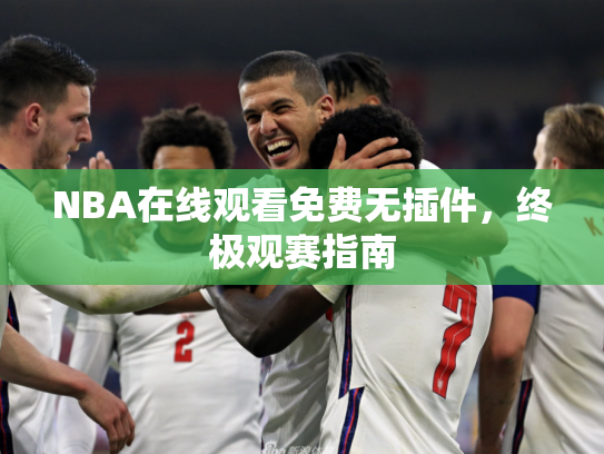 NBA在线观看免费无插件，终极观赛指南