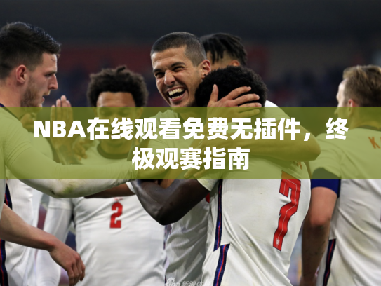 NBA在线观看免费无插件，终极观赛指南