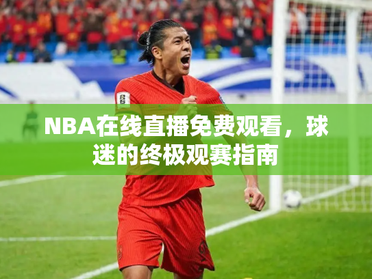 NBA在线直播免费观看，球迷的终极观赛指南