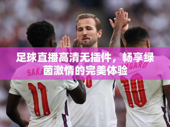 足球直播高清无插件，畅享绿茵激情的完美体验