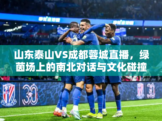 山东泰山VS成都蓉城直播，绿茵场上的南北对话与文化碰撞