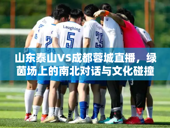 山东泰山VS成都蓉城直播，绿茵场上的南北对话与文化碰撞