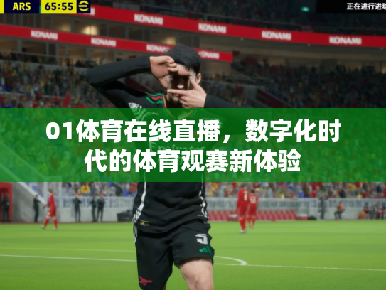 01体育在线直播，数字化时代的体育观赛新体验