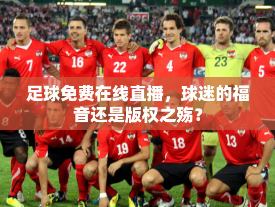 足球免费在线直播，球迷的福音还是版权之殇？