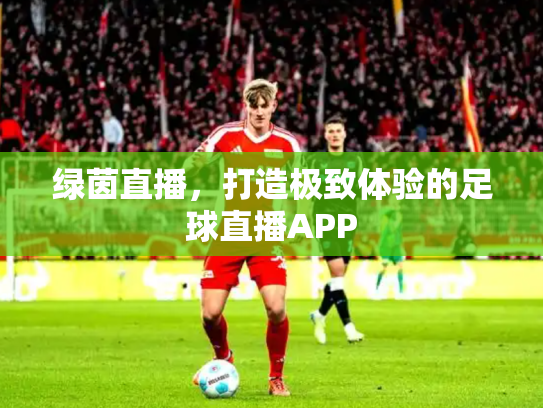 绿茵直播，打造极致体验的足球直播APP