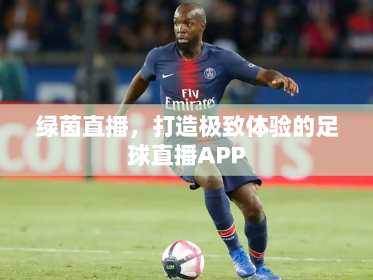 绿茵直播，打造极致体验的足球直播APP