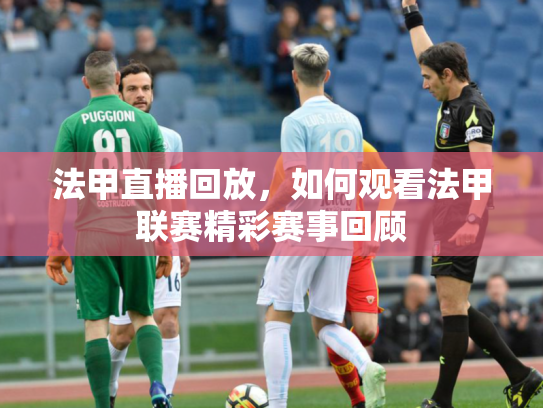 法甲直播回放，如何观看法甲联赛精彩赛事回顾