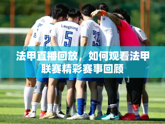 法甲直播回放，如何观看法甲联赛精彩赛事回顾