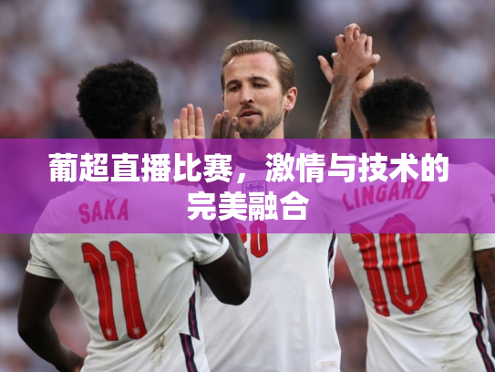 葡超直播比赛，激情与技术的完美融合