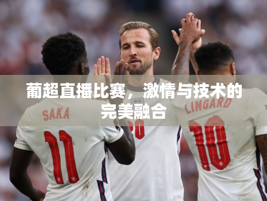 葡超直播比赛，激情与技术的完美融合